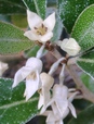 szk081105 007.01.jpg
