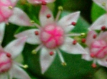 szk081105 024.01.jpg