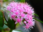 szk081105 026.01.jpg