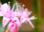 szk081105 028.01.jpg