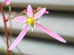 szk081110 012.01.jpg