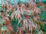 szk081112 003.01.jpg