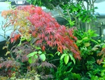 szk081112 007.01.jpg