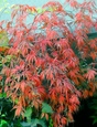 szk081112 008.01.jpg