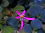 szk081113 001.01.jpg