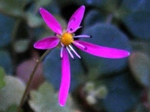 szk081113 006.01.jpg