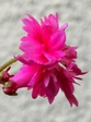 szk081113 012.01.jpg