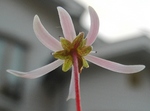 szk081114 012.01.jpg