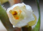 szk081122 013.01.jpg