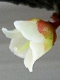 szk081122 032.01.jpg