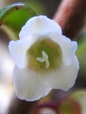 szk081122 034.01.jpg
