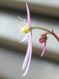 szk081125 013.01.jpg