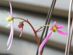 szk081125 013.02.jpg