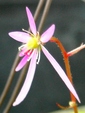 szk081125 014.01.jpg