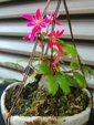 szk081125 018.01.jpg