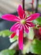 szk081125 021.01.jpg