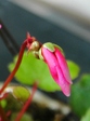 szk081125 025.01.jpg