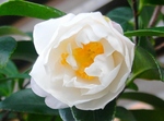 szk081126 002.01.jpg