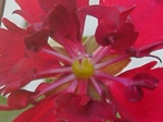 szk081207 010.01.jpg
