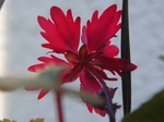 szk081207 014.01.jpg