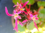 szk081207 020.01.jpg