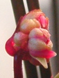 szk081207 024.01.jpg