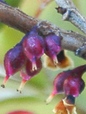 szk081216 006.01.jpg