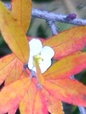 szk081216 011.01.jpg