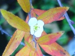 szk081216 012.01.jpg