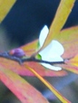 szk081216 013.01.jpg