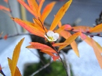 szk081216 014.01.jpg
