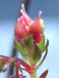 szk081216 019.01.jpg