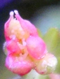 szk081216 027.01.jpg