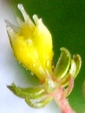 szk081216 028.01.jpg