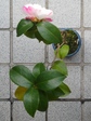 szk081220 008.01.jpg