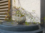 szk081229 016.01.jpg