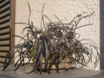 szk090111 001.01.jpg