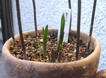 szk090112 002.01.jpg