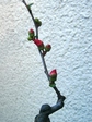 szk090113 003.01.jpg