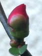 szk090113 004.01.jpg