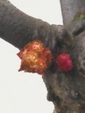 szk090114 002.01.jpg