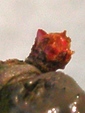 szk090114 003.01.jpg