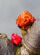 szk090114 005.01.jpg