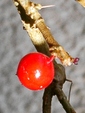 szk090115 003.01.jpg