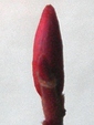 szk090117 002.01.jpg