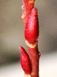 szk090117 016.01.jpg