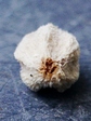 szk090117 036.01.jpg