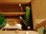 szk090118 001.01.jpg