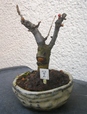 szk090122 001.01.jpg