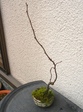 szk090123 003.01.jpg